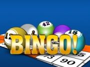 Spill Bingooo 2024 online