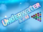 Spill Under vann AIM online