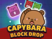 Spill Capybara Block Drop online