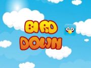 Spill Fugl ned online