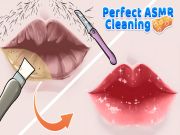 Spill Perfekt ASMR -rengjøring online