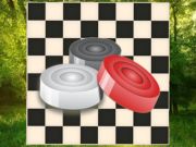 Spill Klassiske Checkers: Forest online