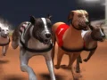 Spill Greyhound racing online Spill Greyhound racing online