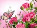 Spill Sommerfuglpuslespill online Spill Sommerfuglpuslespill online