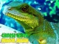 Spill Kinesisk Vann Drage Puslespill online Spill Kinesisk Vann Drage Puslespill online