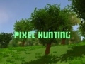 Spill Pixeljakt online