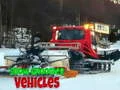 Spill Snøkjøring Kjøretøy online