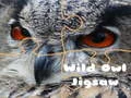 Spill Vill Ugler Puslespill online