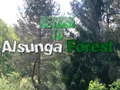 Spill Tilbake til Alsunga-skogen online Spill Tilbake til Alsunga-skogen online