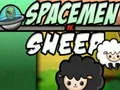 Spill Romfarere mot Sauer online Spill Romfarere mot Sauer online