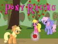 Spill Ponniracing online Spill Ponniracing online