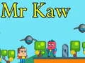 Spill Herr Kaw online