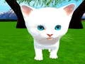 Spill Kjapp Katt online Spill Kjapp Katt online