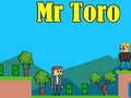 Spill Mr Toro online