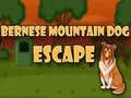 Spill Bernese Mountain Dog Flukt online