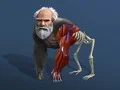 Spill Passiv Evolusjon: Fra Celle til Menneske online Spill Passiv Evolusjon: Fra Celle til Menneske online