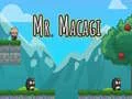 Spill Mr. Macagi online