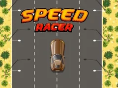 Spill Rask Racer online