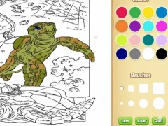 Spill Sea Animal Coloring Book online