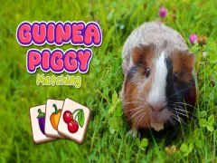 Spill Guinea piggy matching online Spill Guinea piggy matching online