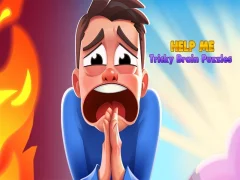 Spill Hjelp meg: Tricky Brain Puzzles online