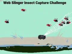 Spill Web Slinger Insect Capture Challenge online