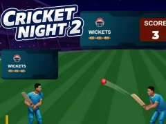 Spill Cricket Night 2 online