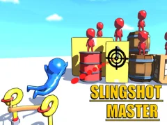 Spill Slingshot Master online