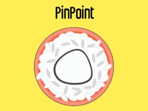 Spill Pinpoint online