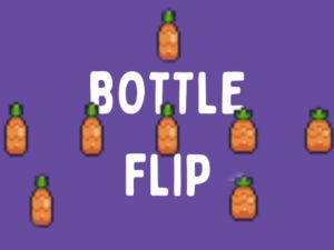 Spill Flaskeflip online