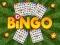 Spill Bingo online