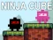 Spill Ninja Terning online