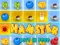 Spill Hamster Tapt I Mat online