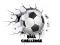 Spill Ballutfordring online