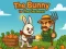 Spill The Bunny vs The Gardener online