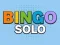 Spill Bingo Solo online