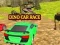 Spill Dino Bil Race online Spill Dino Bil Race online