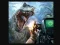 Spill Jungle Survival Jurassic Park online