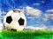 Spill Fotballglid online