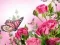Spill Sommerfuglpuslespill online