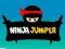Spill Ninja Hopper online
