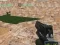 Spill Xtreme Gode Karer vs Dårlige Guttene online