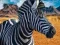 Spill Zebra jeger online
