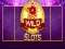 Spill Vill Slot online Spill Vill Slot online
