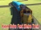 Spill Super Rask T-bane Tog online