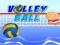 Spill Volleyball online
