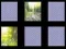 Spill Naturen Minnet online