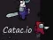 Spill Catac.io online
