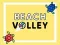 Spill Strandvolleyball online