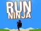 Spill Løp Ninja online